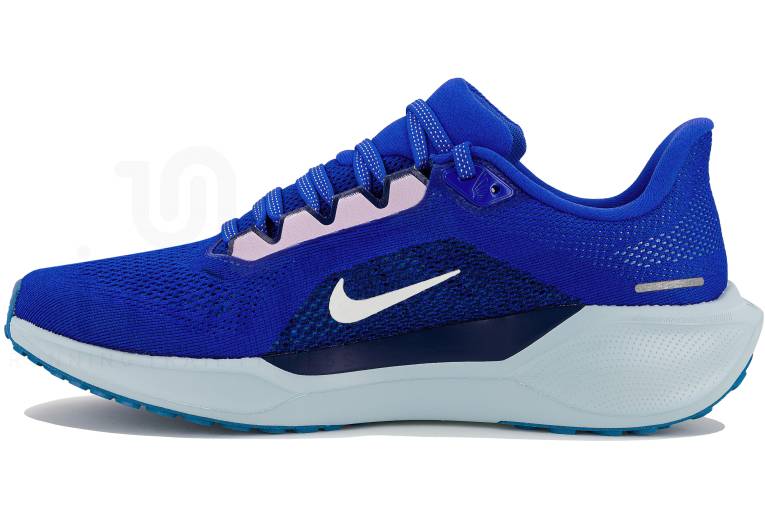 Nike Pegasus 41