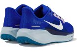 Nike Pegasus 41 Colecci�n BRS