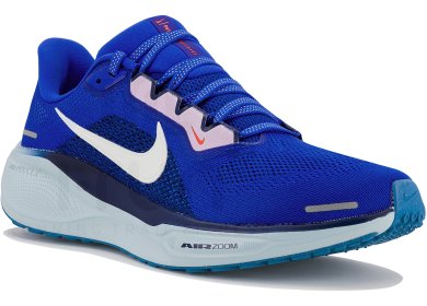 Pegasus 41
