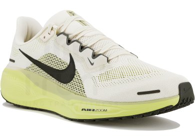 Pegasus 41