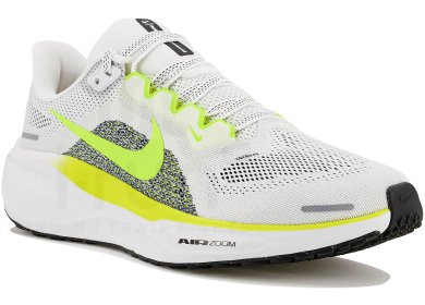 Pegasus 41