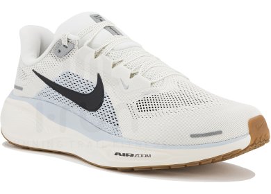 Pegasus 41