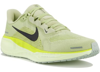 Pegasus 41