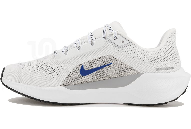 Nike Pegasus 41 