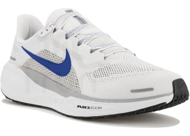 Pegasus 41