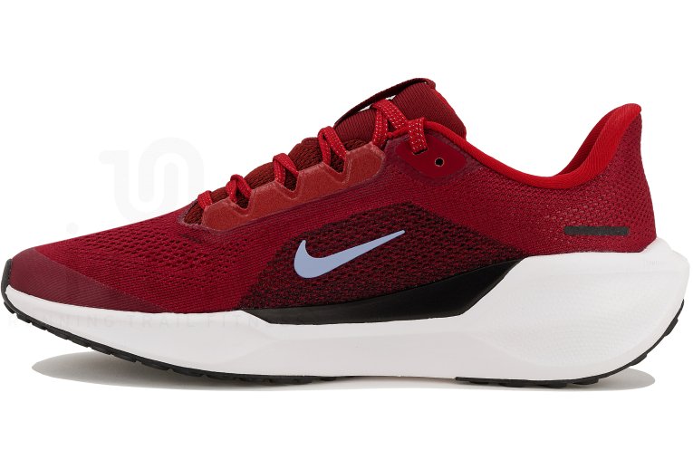 Nike Pegasus 41