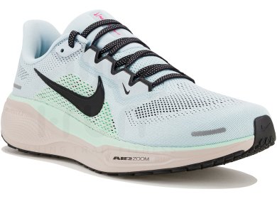 Pegasus 41