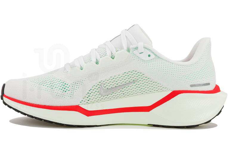 Nike Pegasus 41