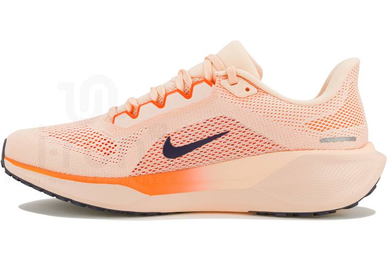 Nike Pegasus 41 