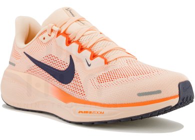 Pegasus 41