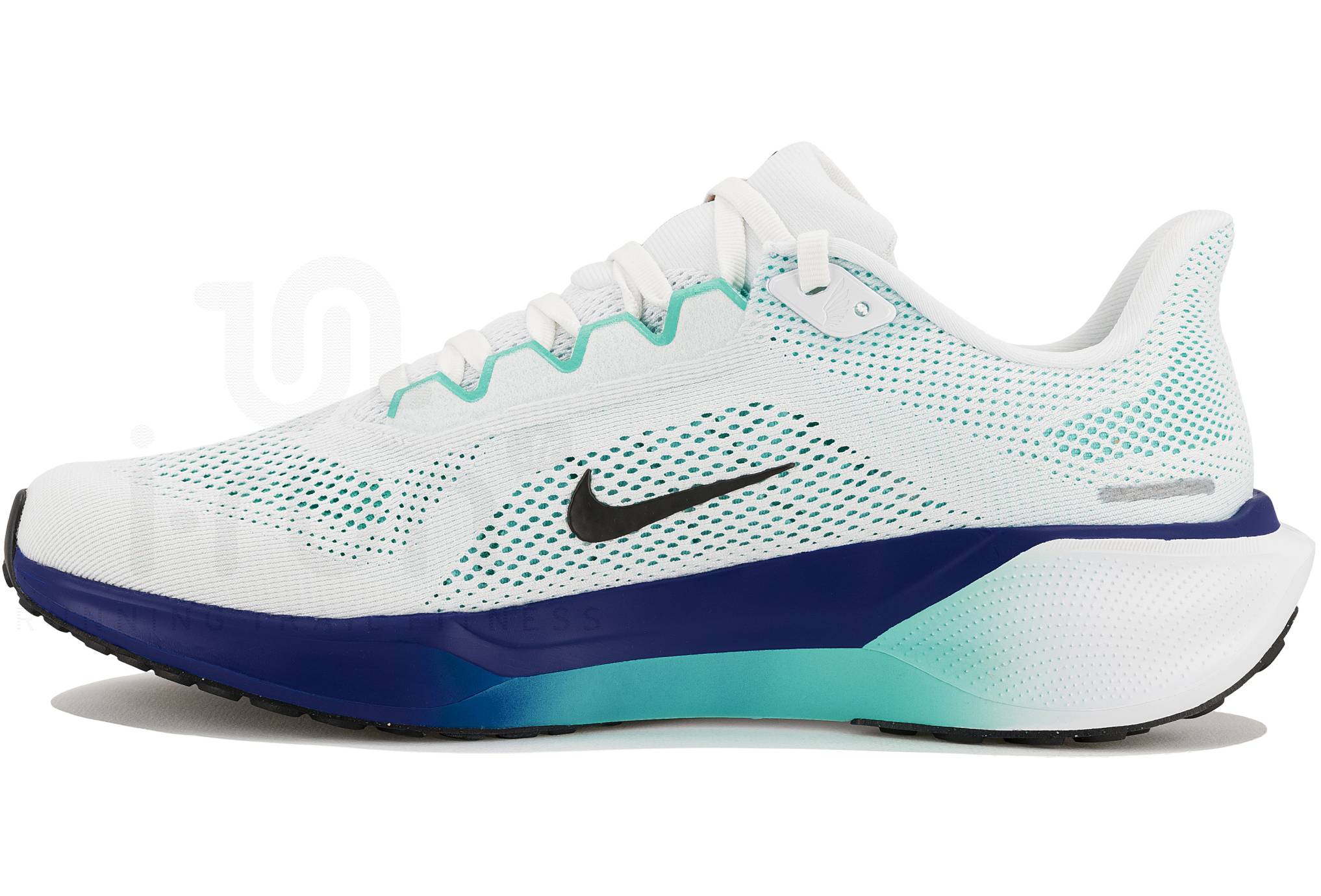 Nike Pegasus 41