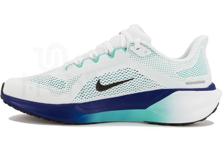 Nike Pegasus 41