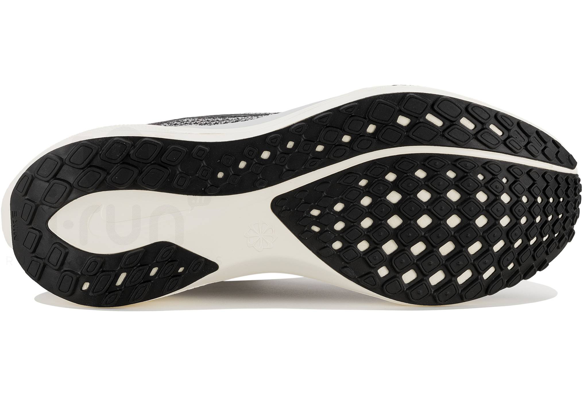Nike Pegasus 41