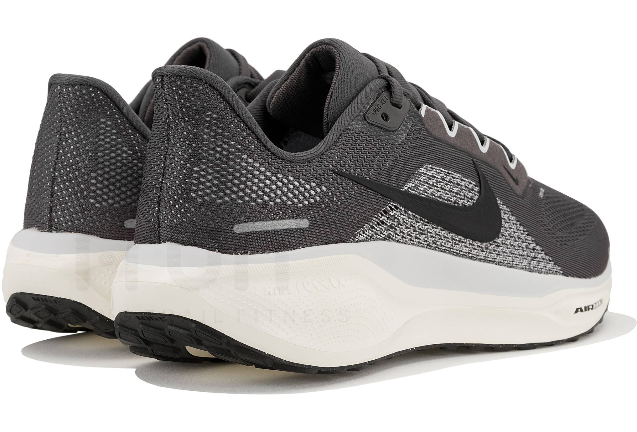Nike Pegasus 41