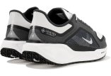Nike Pegasus 41 Gore-Tex