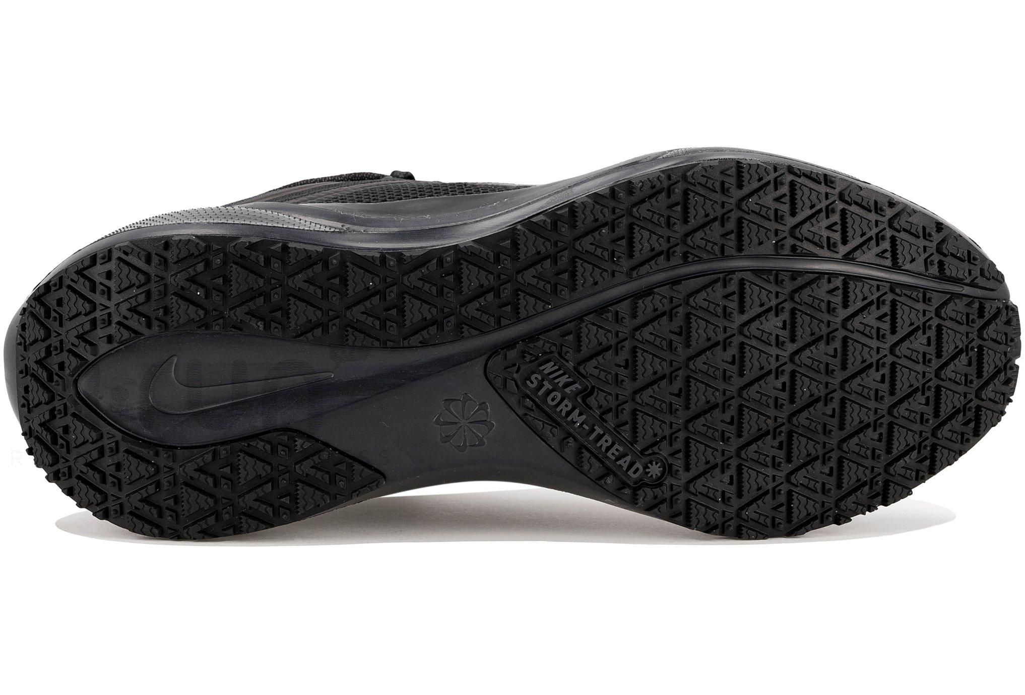 Nike Pegasus 41 Gore-Tex
