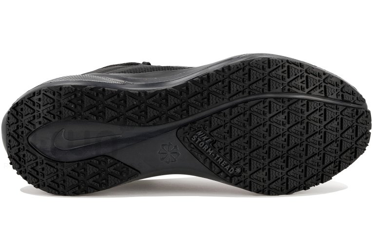 Nike Pegasus 41 Gore-Tex