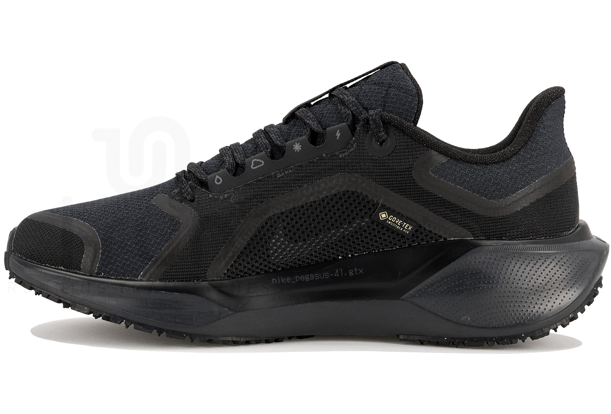Nike Pegasus 41 Gore-Tex
