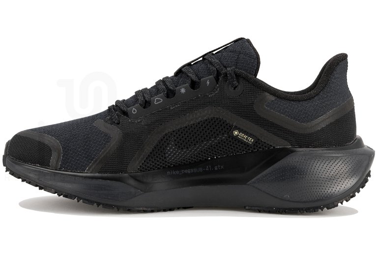 Nike Pegasus 41 Gore-Tex