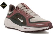 Nike Pegasus 41 Gore-Tex 
