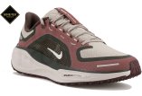 Nike Pegasus 41 Gore-Tex