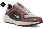 Nike Pegasus 41 Gore-Tex