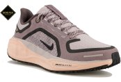 Nike Pegasus 41 Gore-Tex 
