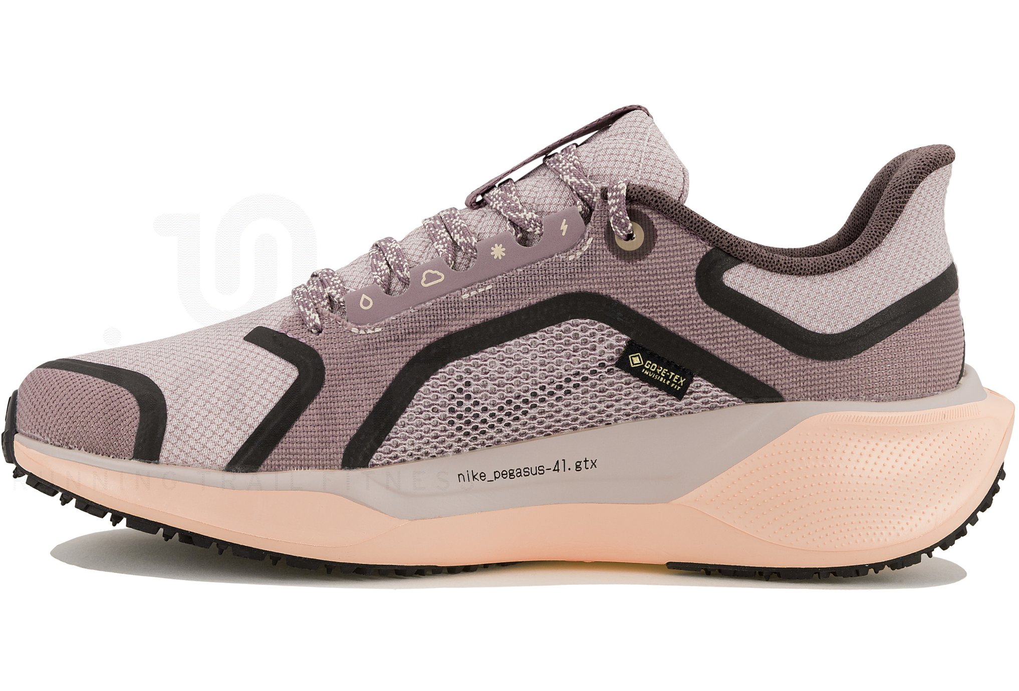 Nike Pegasus 41 Gore-Tex