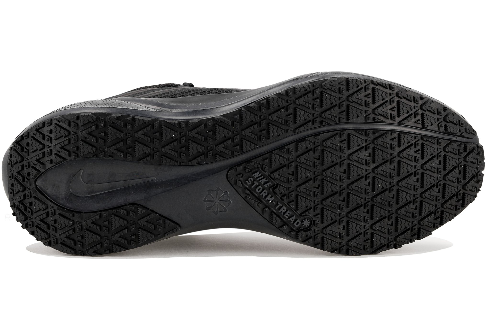 Nike Pegasus 41 Gore-Tex