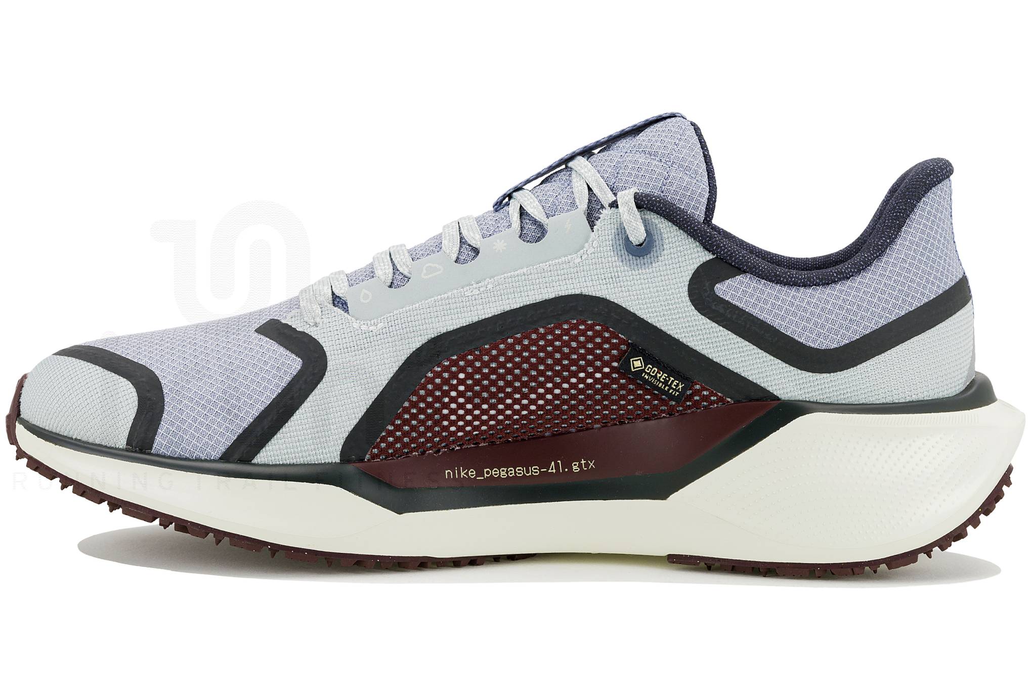 Nike Pegasus 41 Gore-Tex