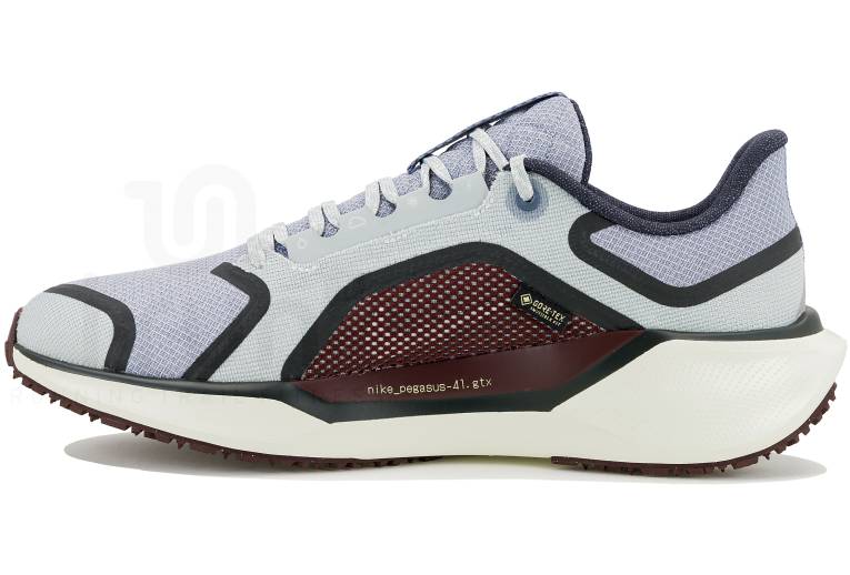 Nike Pegasus 41 Gore-Tex