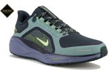 Nike Pegasus 41 Gore-Tex