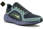 Nike Pegasus 41 Gore-Tex
