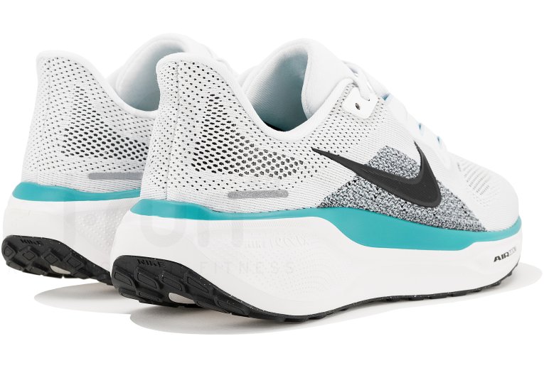 Nike Pegasus 41