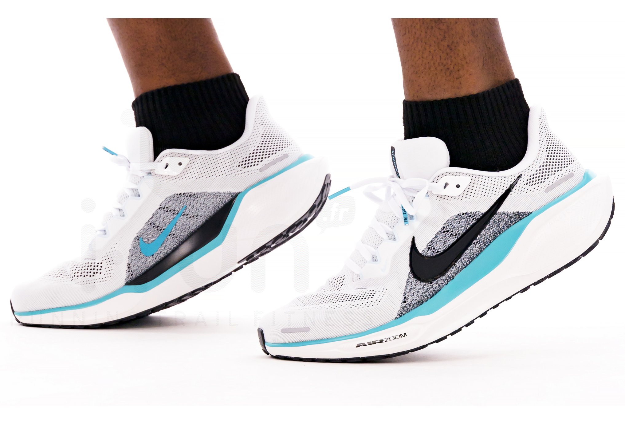 Nike Pegasus 41