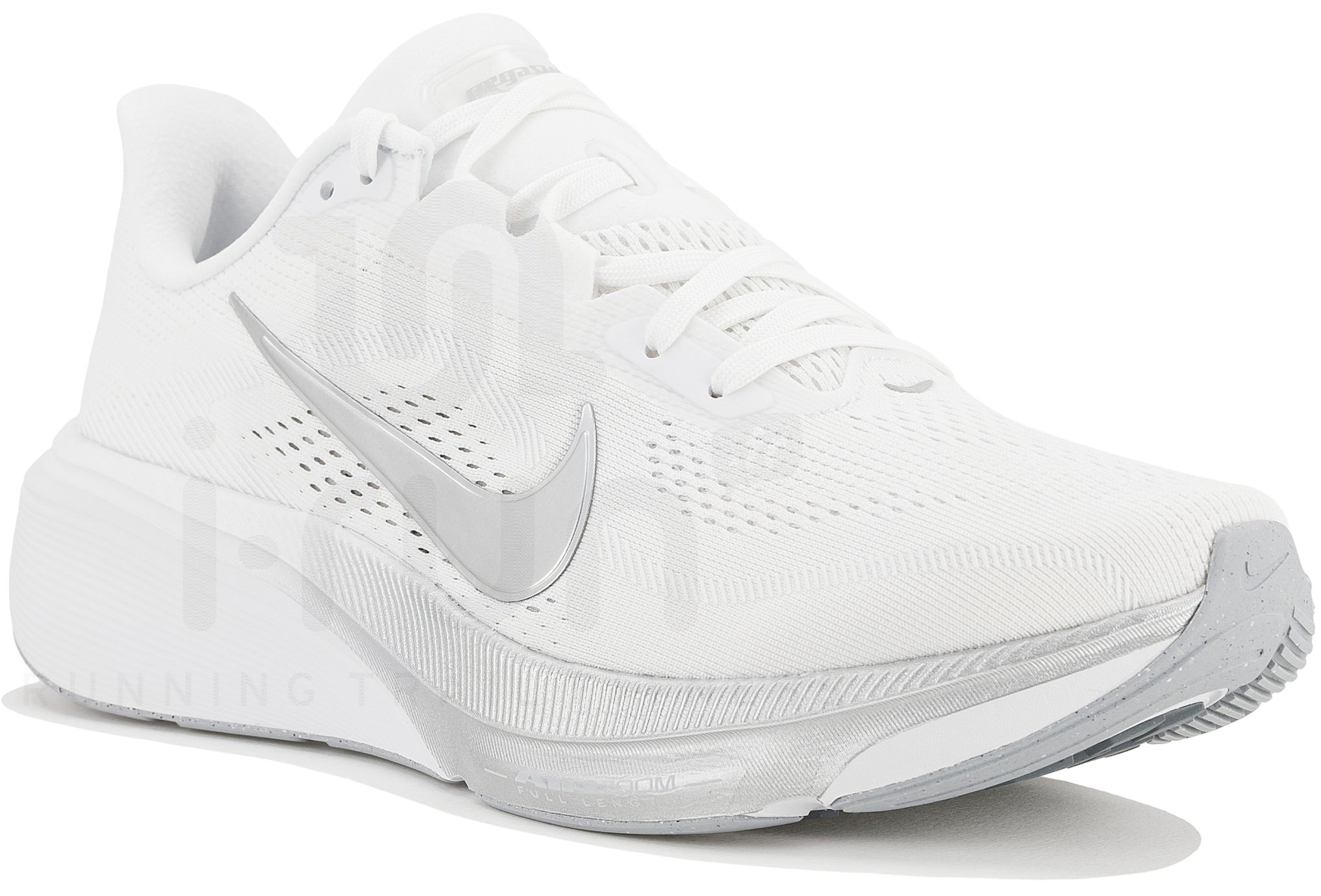 Nike Pegasus 42 