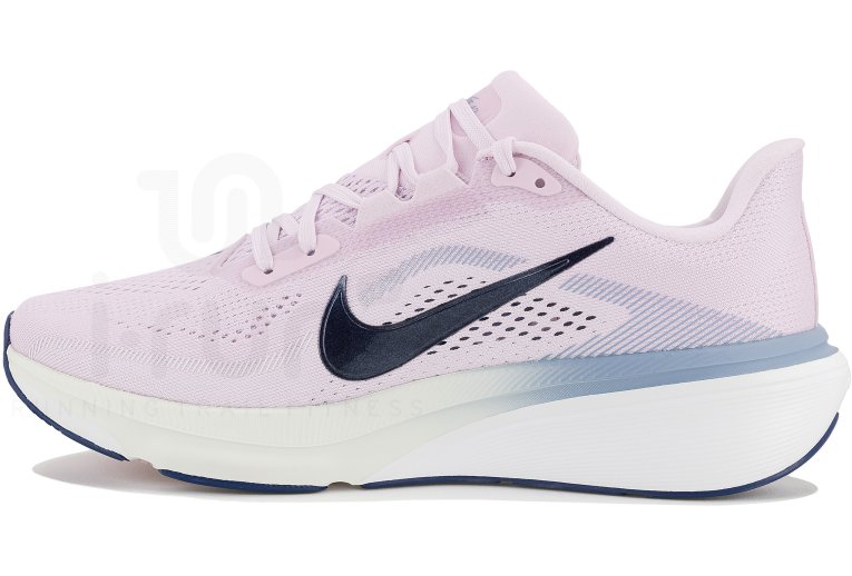 Nike Pegasus 42 