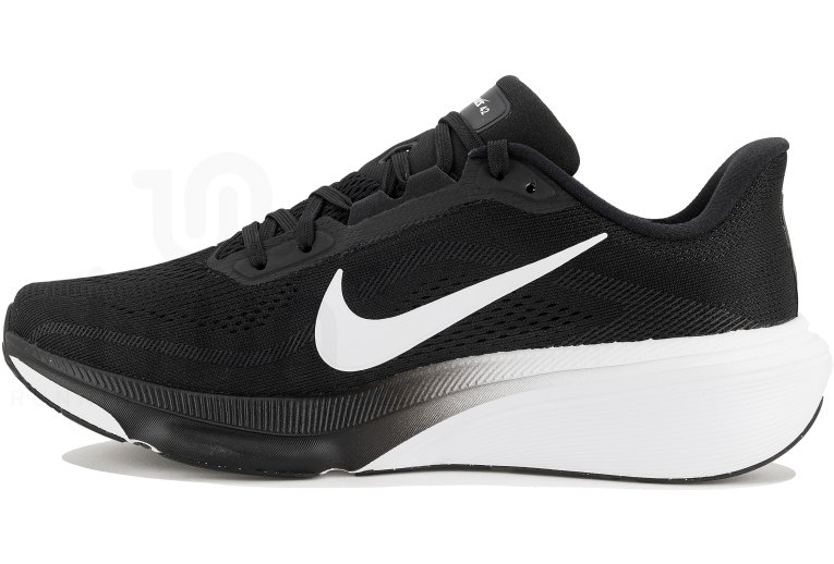 Nike Pegasus 42 