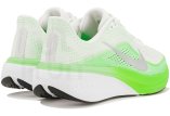 Nike Pegasus 42