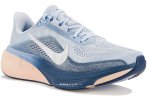 Nike Pegasus 42