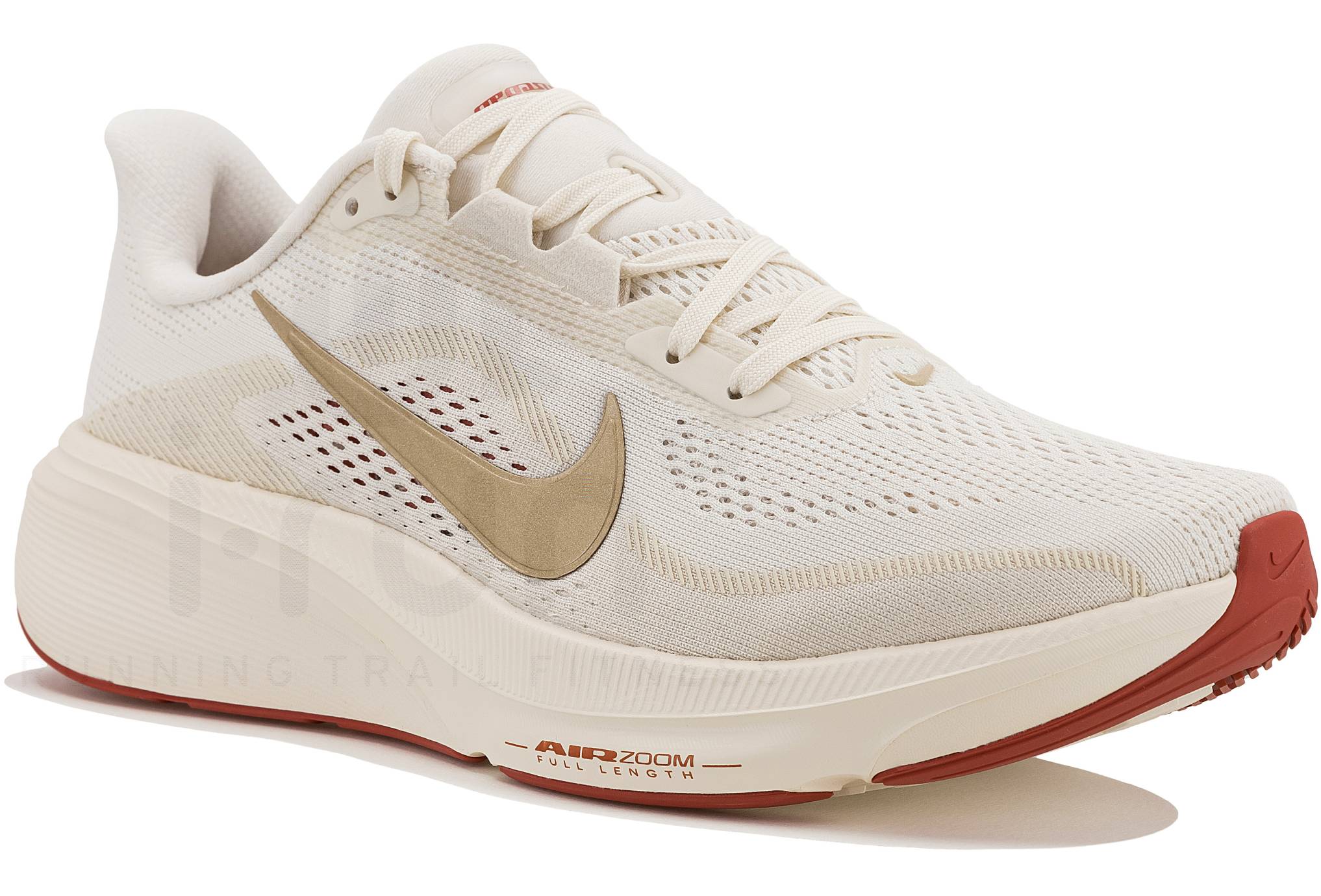 Nike Pegasus 42