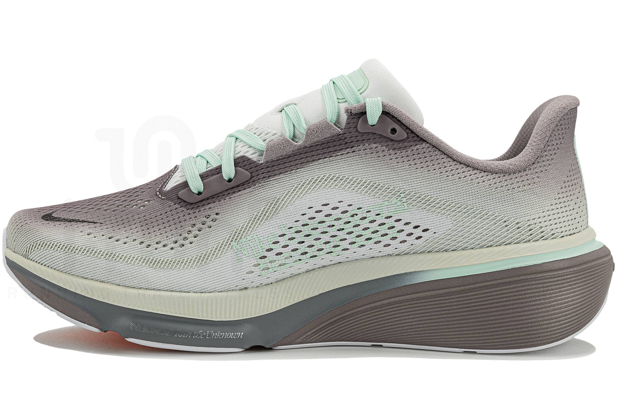 Nike Pegasus 42