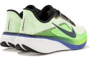Nike Pegasus 42