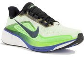 Nike Pegasus 42 