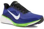 Nike Pegasus 42