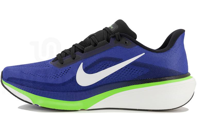 Nike Pegasus 42 