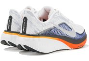 Nike Pegasus 42