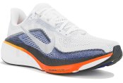 Nike Pegasus 42 