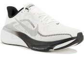 Nike Pegasus 42 Reductive Reflective