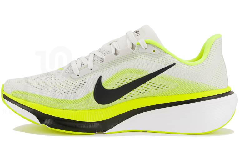 Nike Pegasus 42